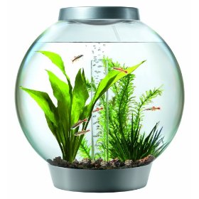 So that's not a bio orb fish tank? No, it's called biOrb.