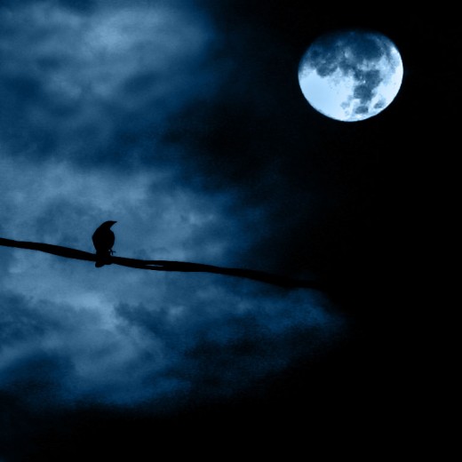How do you feel during the full moon?