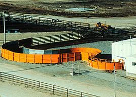 Temple Grandin's Cattle Chute