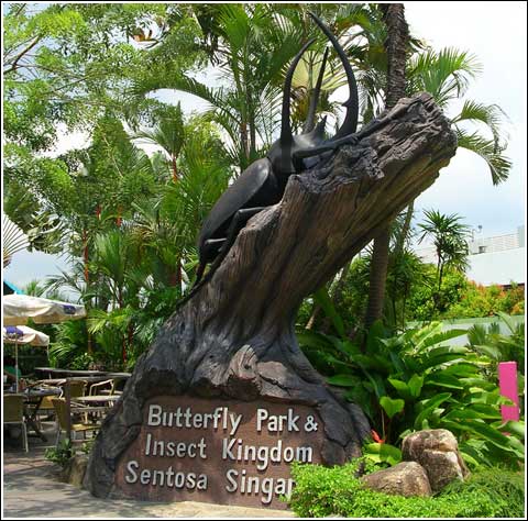 Butterfly Park and Insect Kingdom in Singapore