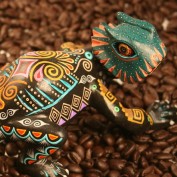 quemacoco profile image
