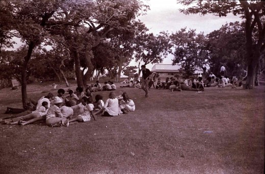 On the lawns at Phoenix Settlement. Photo Tony McGregor