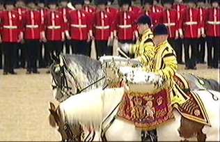 Drum Horses