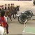 Kings Troop Kings Troop