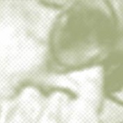 Moulik Mistry profile image