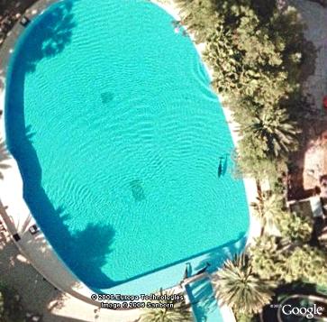 In a pool with a dolphin?