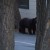 I would advise you not to get this close to a bear! On two, separate occasions he charged at me full speed! This picture is right after his first charge (where he jumped a fence!) I would advise you not to get this close to a bear! On two, separate occasions he charged at me full speed! This picture is right after his first charge (where he jumped a fence!)