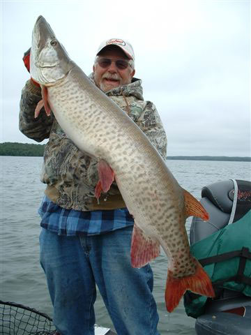 If you are looking for a vacation, fishing in Minnesota could be just the holiday you were looking for!