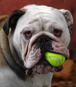 HubPages profile picture for @maggymay