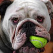 Maggy May profile image