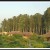 Landscape in Jim Corbett National Park Landscape in Jim Corbett National Park