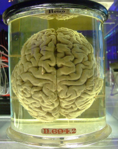 Image Courtesy http://www.everystockphoto.com/photo.php?imageId=2125004