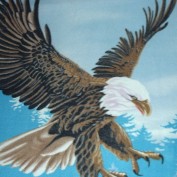 rstlittle profile image