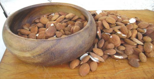 Almonds ready to be stored 