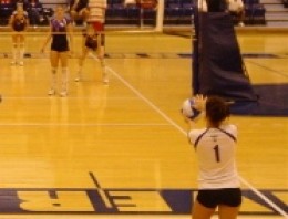 Volleyball Coaching Mastering Volleyball Serve Techniques | HubPages
