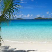 sealandtravelclub profile image