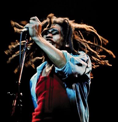 Dreadlocks hairstyle