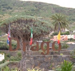 Icod de los Vinos the Tenerife city of the world famous Dragon Tree of the Canary Islands
