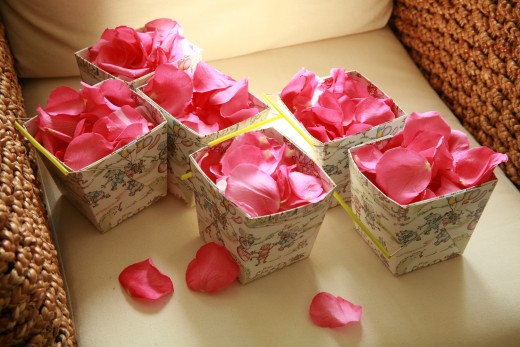 Petals to Lay at Your Feet