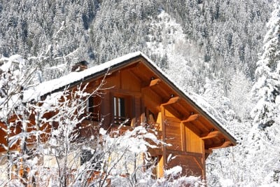 Cabin in snow