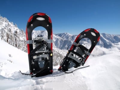 snowshoes