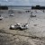 The harbour at low tide
