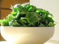 Brain Foods to Increase Your Memory