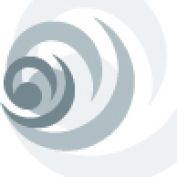 NZ Showcase profile image