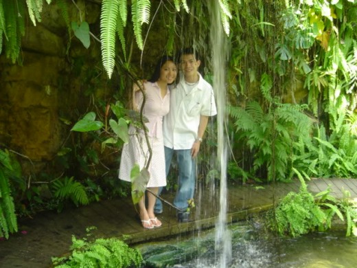 A picture tells a thuosand tales and this is evidenr with the faces of the lovebirds here and this will show you why a date in a botanical garden is a must try.