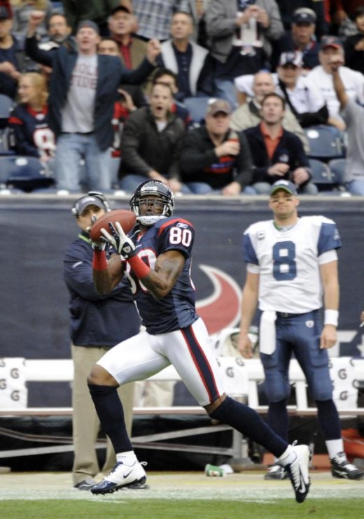 Houston Texans wide receiver Andre Johnson.(AP Photo/Dave Einsel)