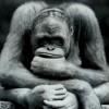 Mog profile image