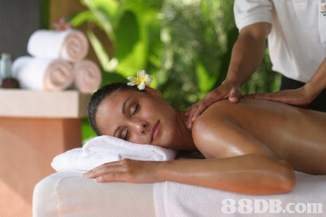 Aloe vera herbal treatment