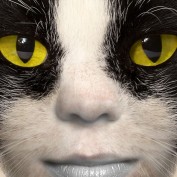 WriteStuff profile image