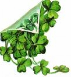 Top Five Irish Traditional Foods