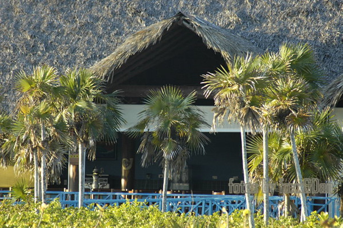 Melia Cayo Santa Maria Resort beach restaurant and bar
