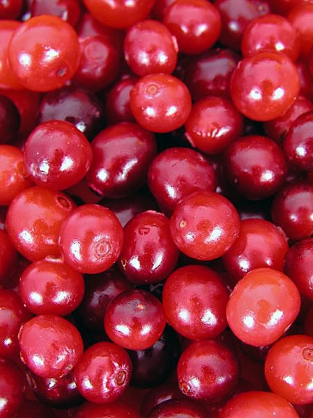 Cranberries are a great herbal remedy.