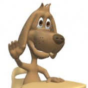 Dog Trainer profile image
