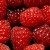 Raspberries - Part of a Healthy Herbal Douche Raspberries - Part of a Healthy Herbal Douche