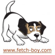 fetch-boy profile image