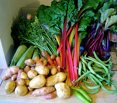 Fresh Garden Produce