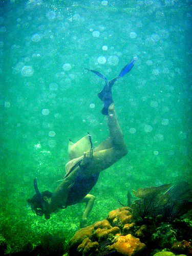 Snorkeling in the green ocean waters.