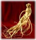 Gensing roots 