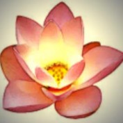 YogaMaster profile image