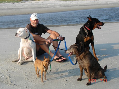 Happy and healthy pups at the beach.