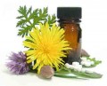 10 Things to Know Before Using Herbal Remedies