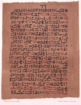 One of the oldest medical preserved documents