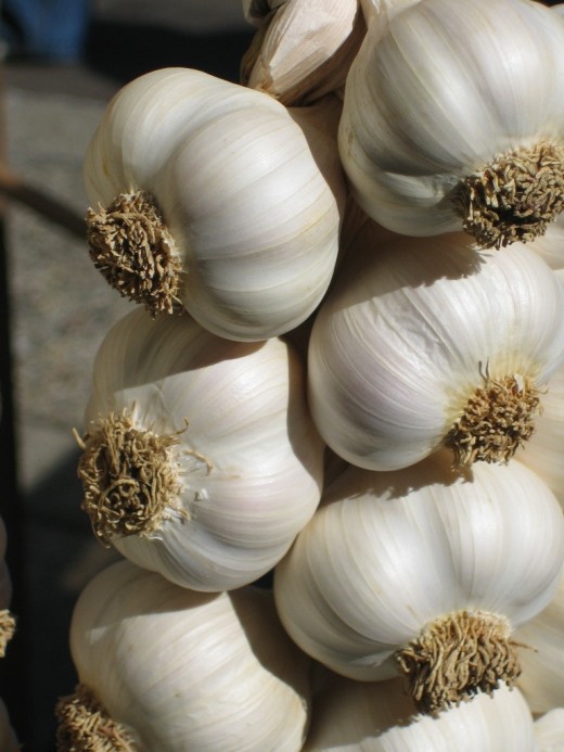Garlic for whooping cough