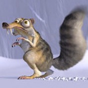 Sneaky Squirrel profile image