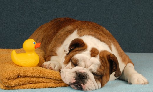 Wake up! Time for a bath! 