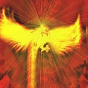 Phoenix 69 profile image
